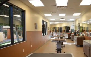 Grooming Room 2