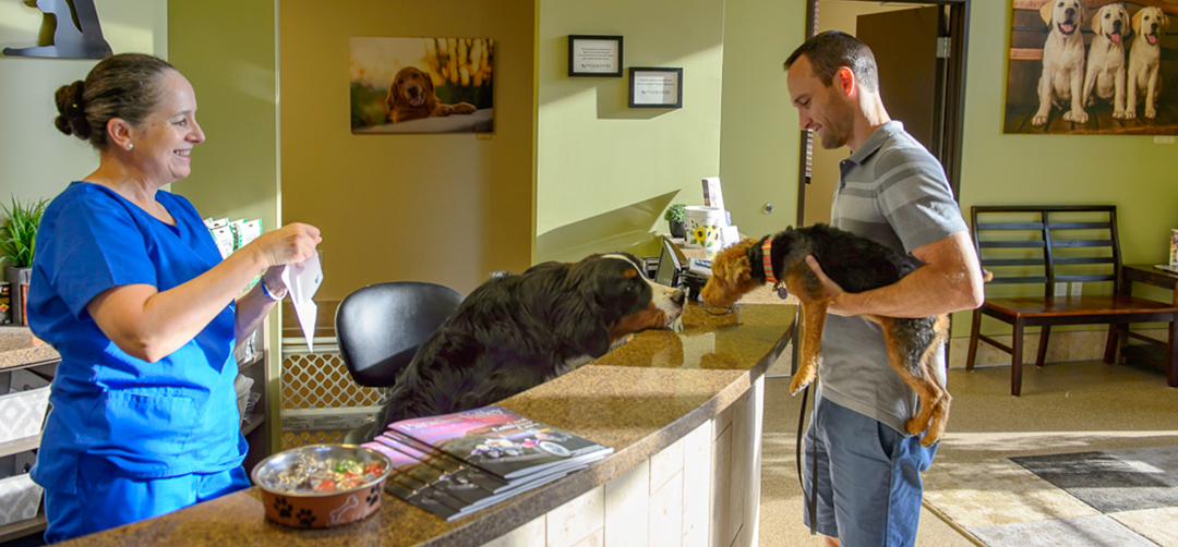 Applewood Animal Hospital - Applewood 