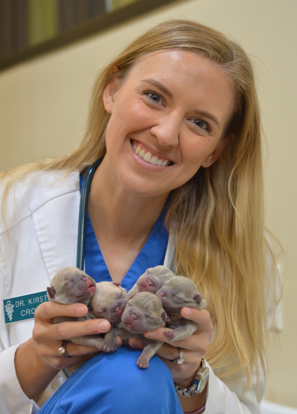 Dr Crouch and newborn pups Dr Crouch and newborn pups