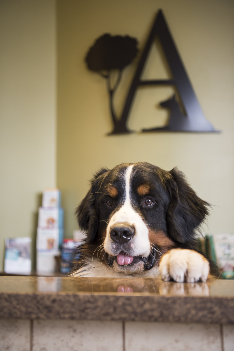 Official Greeter - Meet Segen